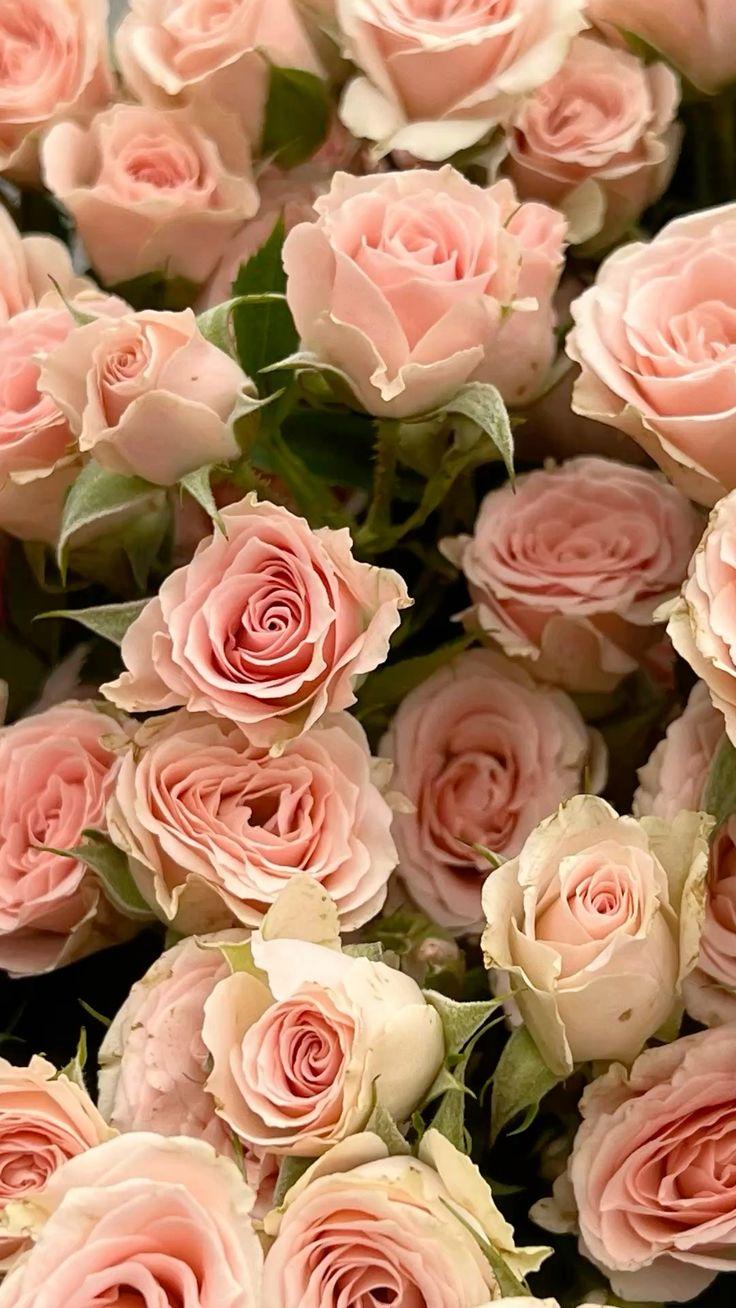 Enchanted Evening: Twilight Petal Fusion